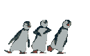 pinguine-0049.gif von 123gif.de Download & Grußkartenversand