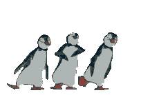 pinguine-0060.gif von 123gif.de Download & Grußkartenversand