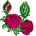 rosen-0068.gif von 123gif.de Download & Grußkartenversand