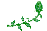 rosen-0101.gif von 123gif.de Download & Grußkartenversand
