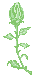 rosen-0123.gif von 123gif.de Download & Grußkartenversand