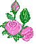 rosen-0146.gif von 123gif.de Download & Grußkartenversand