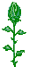 rosen-0167.gif von 123gif.de Download & Grußkartenversand