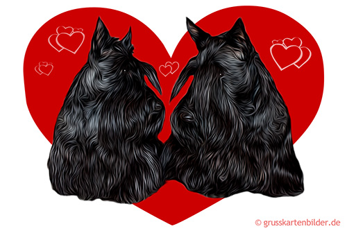 Scottish Terrier von 123gif.de