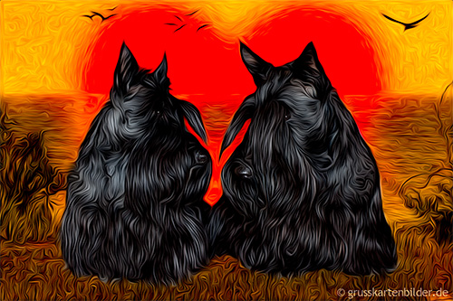 Scottish Terrier von 123gif.de