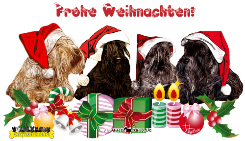 Frohe Weihnachten