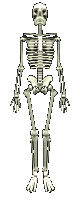 Skelette von 123gif.de