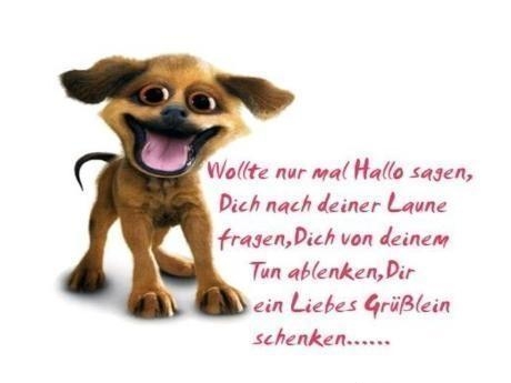 Hunde von 123gif.de