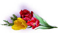 tulpen-0001.gif von 123gif.de Download & Grußkartenversand