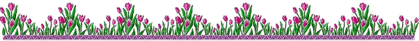 tulpen-0002.gif von 123gif.de Download & Grußkartenversand