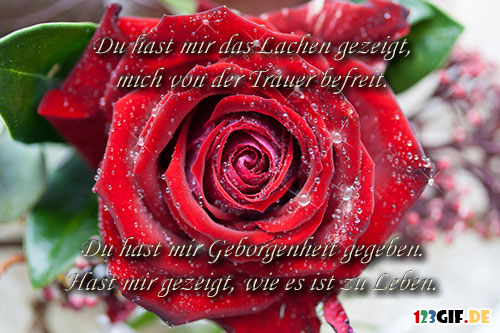 Happy Birthday Bilder Rosen Ausdrucken