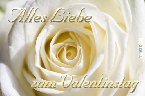 Alles Liebe zum Valentinstag