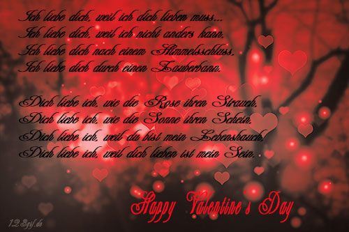 Ich liebe dich, weil ich dich lieben muss... Happy Valentines Day