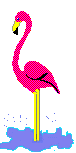 Flamingos von 123gif.de