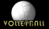 volleyball-0005.gif von 123gif.de Download & Grußkartenversand