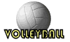 volleyball-0006.gif von 123gif.de Download & Grußkartenversand