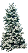 Weihnachtsbäume von 123gif.de