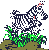 zebras-0003.gif von 123gif.de Download & Grußkartenversand